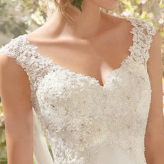 Romantisches, charmantes V-Ausschnitt-Spitzennetz-Hochzeits-/Abendkleid