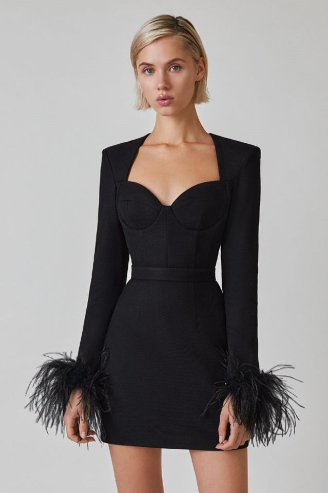 Bustierkleid mit langen Ärmeln und Federn