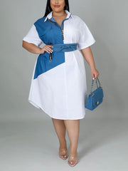 Hemdkleid mit Reißverschluss und Farbblockdesign