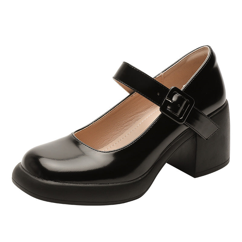 Women Casual Leather Chunky Heel Mary Jane Shoes Newgew Shoes
