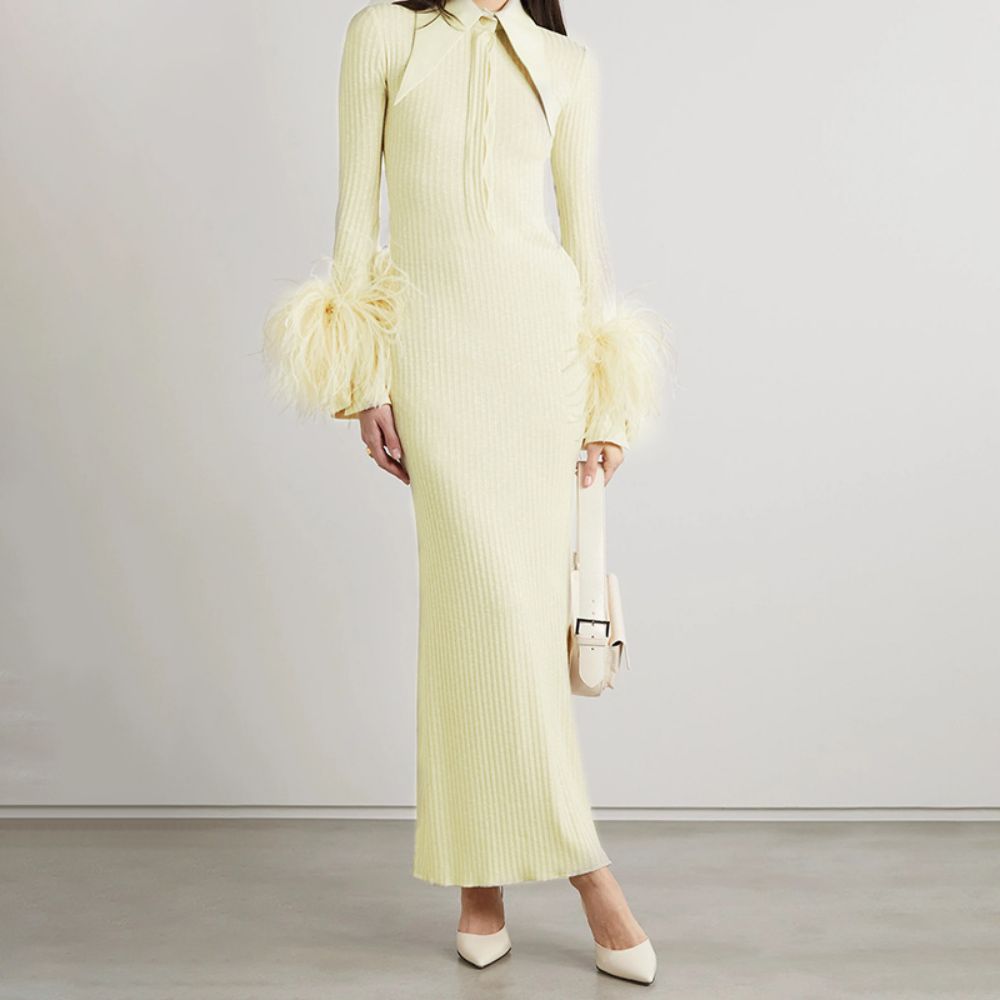 Hochgeschlossenes, langärmliges, figurbetontes Maxikleid mit Federn