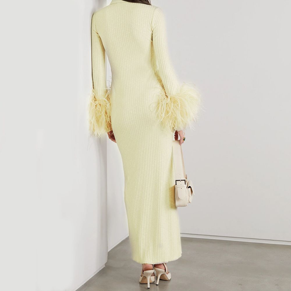 Hochgeschlossenes, langärmliges, figurbetontes Maxikleid mit Federn